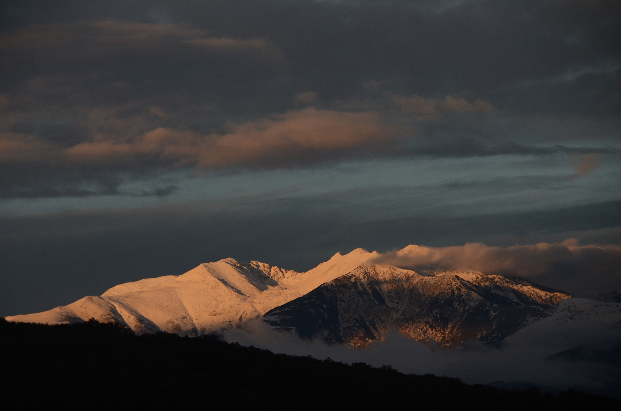 Michèle DC I Visual Art & Design Accueil